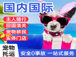 文山砚山航空货运国际宠物托运 【国